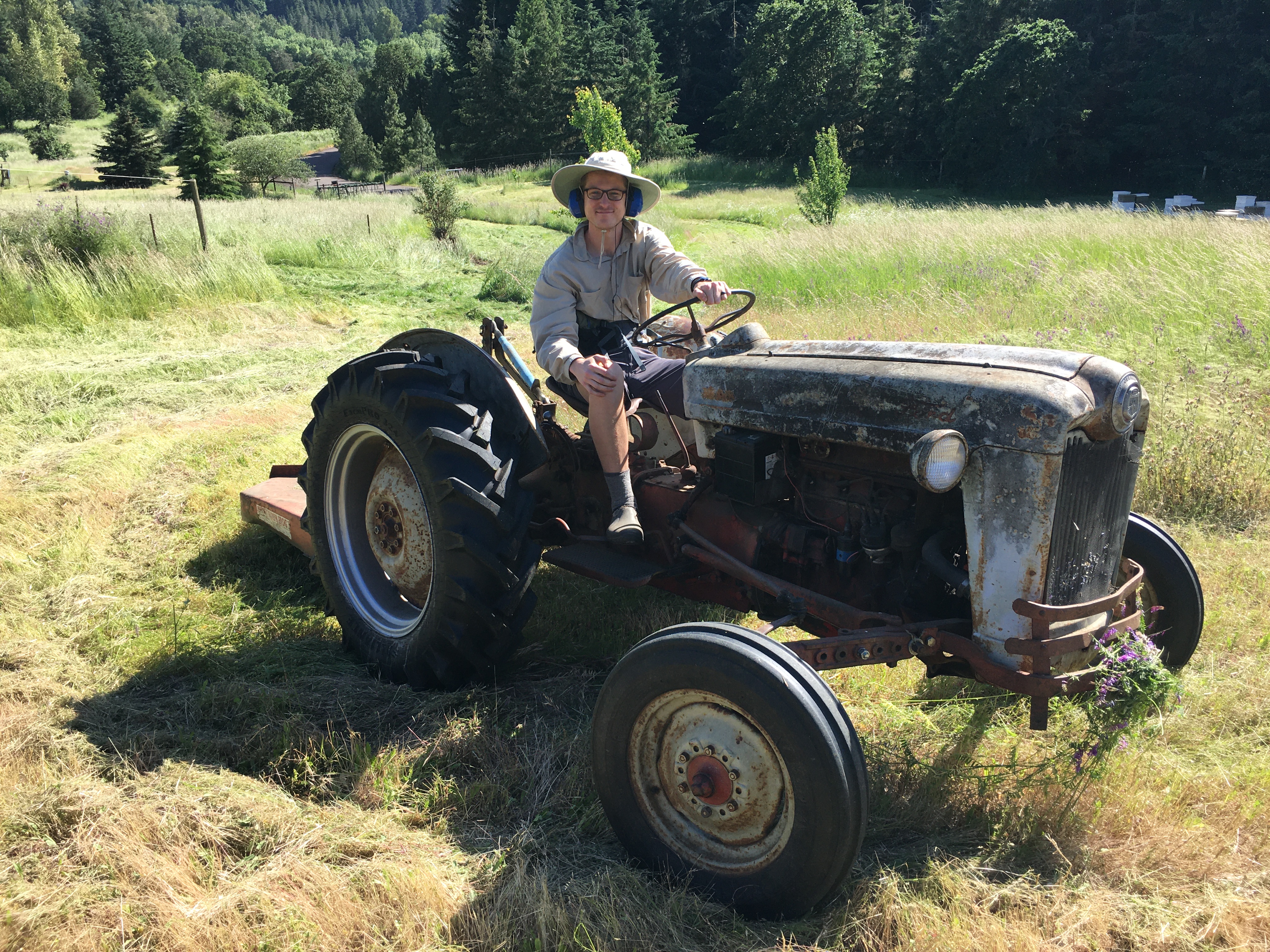 Mowing at home