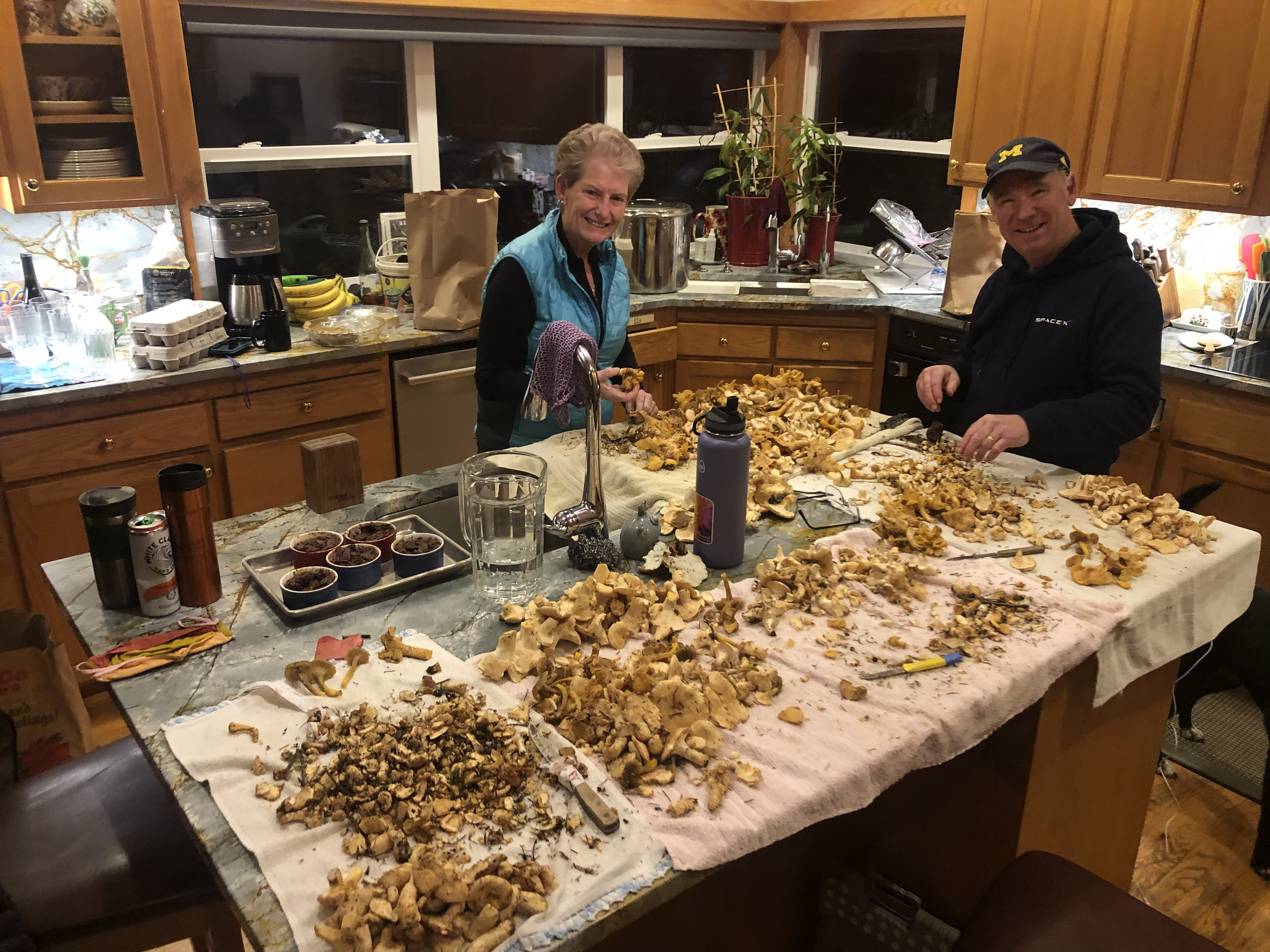 Mushroom Hunting Bounty